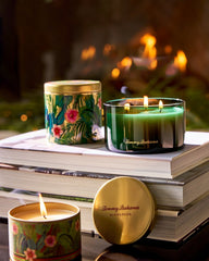 Evergreen 14.5-oz. Boxed 3-Wick Candle