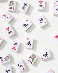 Mahjong Game Set