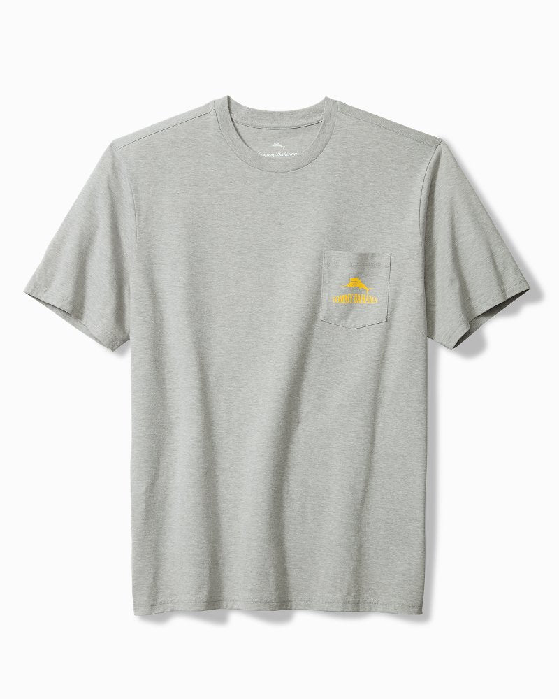 Big & Tall Old Dog, Cue Tricks Graphic Pocket T-Shirt