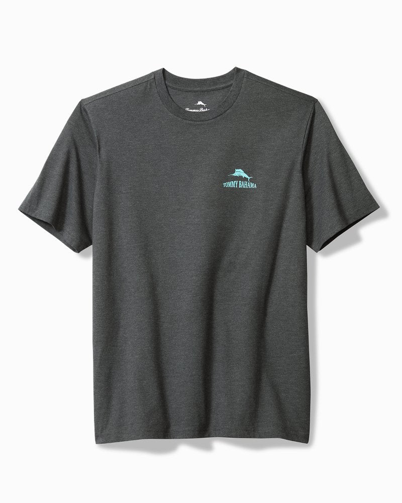 Big & Tall Five Star Hotel Graphic T-Shirt
