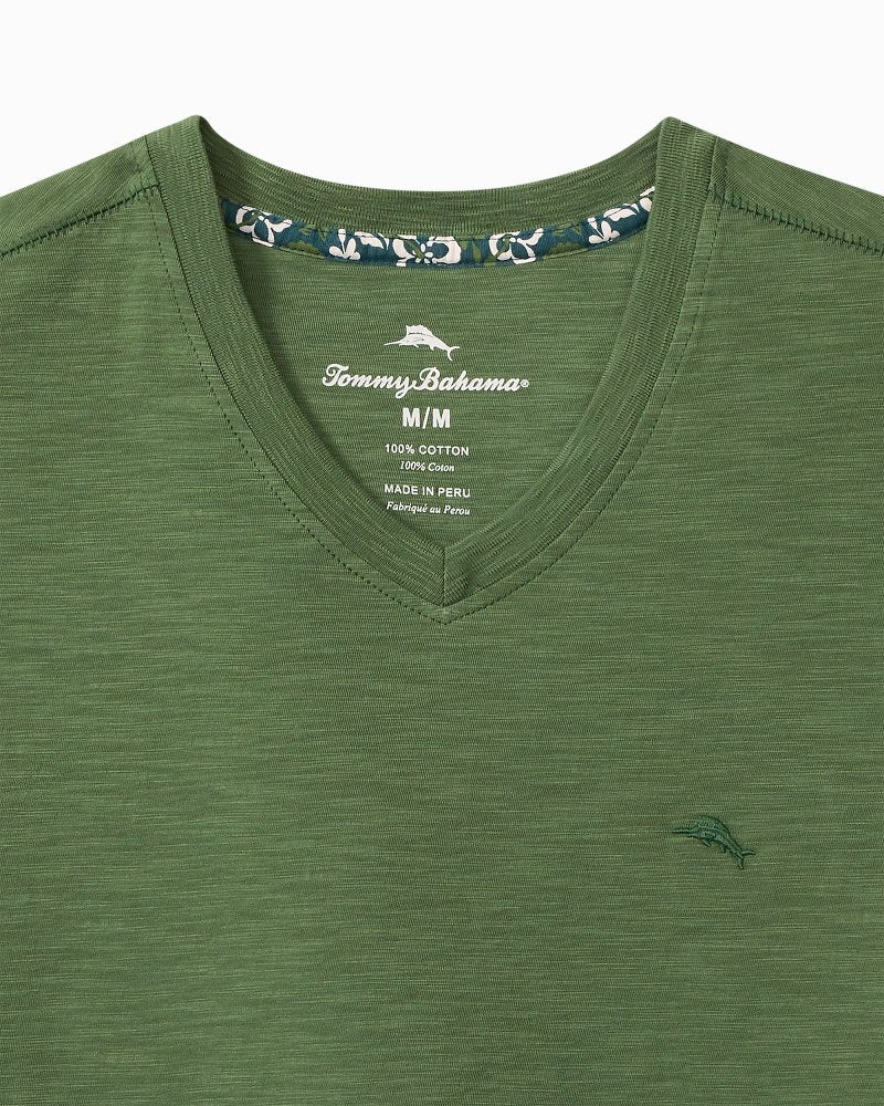 Big & Tall Bali Beach V-Neck T-Shirt