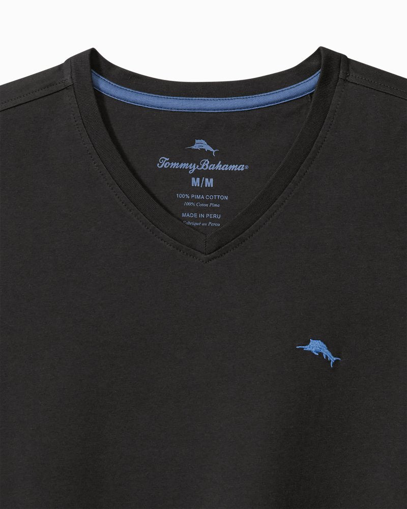 Big & Tall Bali Skyline V-Neck Long-Sleeve T-Shirt