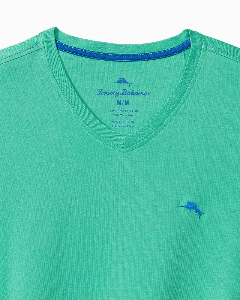 Big & Tall Bali Skyline V-Neck Long-Sleeve T-Shirt