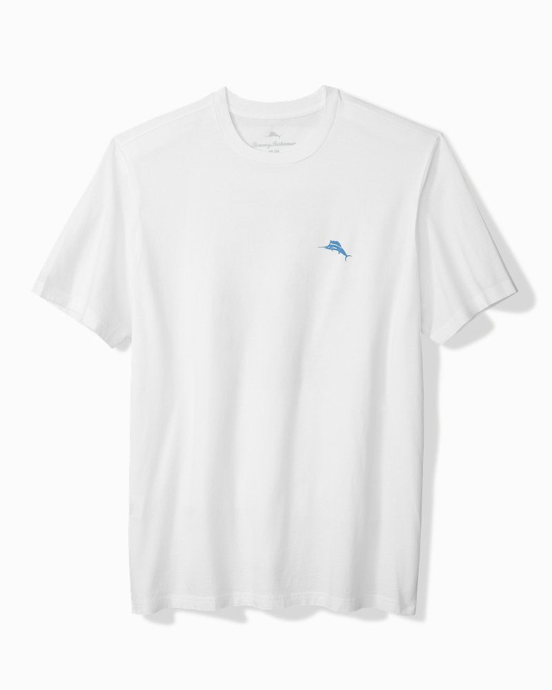 Big & Tall Vacation Shade Graphic T-Shirt