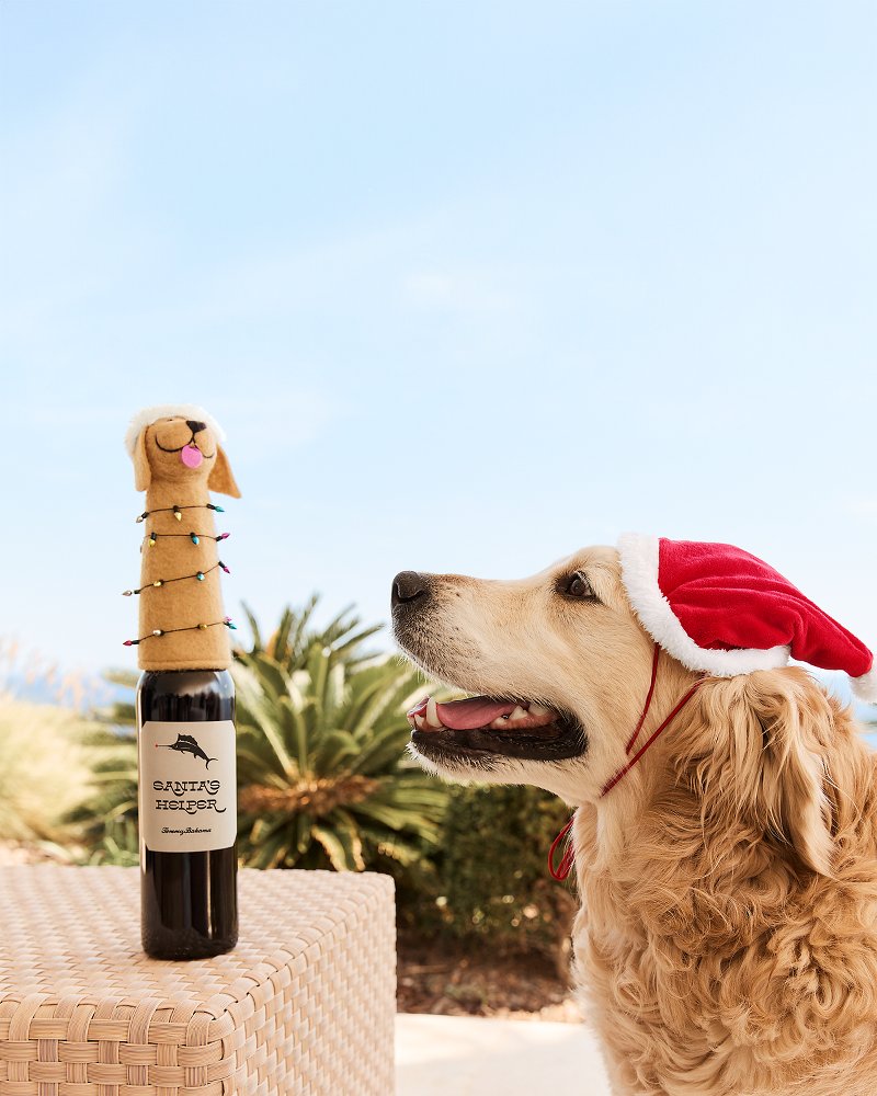 Santa & Retriever Bottle Topper Set