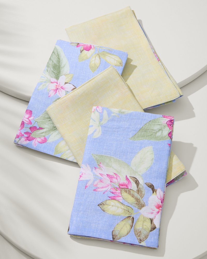 Ray Upcycled Reversible Linen Dinner Napkins - Set of 4