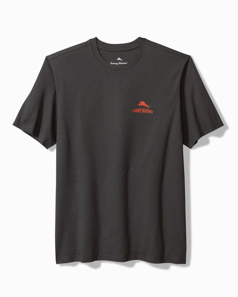 Hazy Conditions Graphic T-Shirt