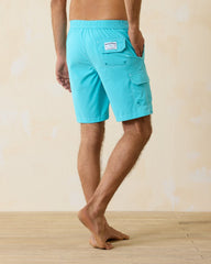 Baja Cove 9-Inch Boardshorts