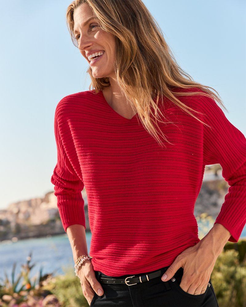 Jewel Bay Sequin V-Neck Sweater