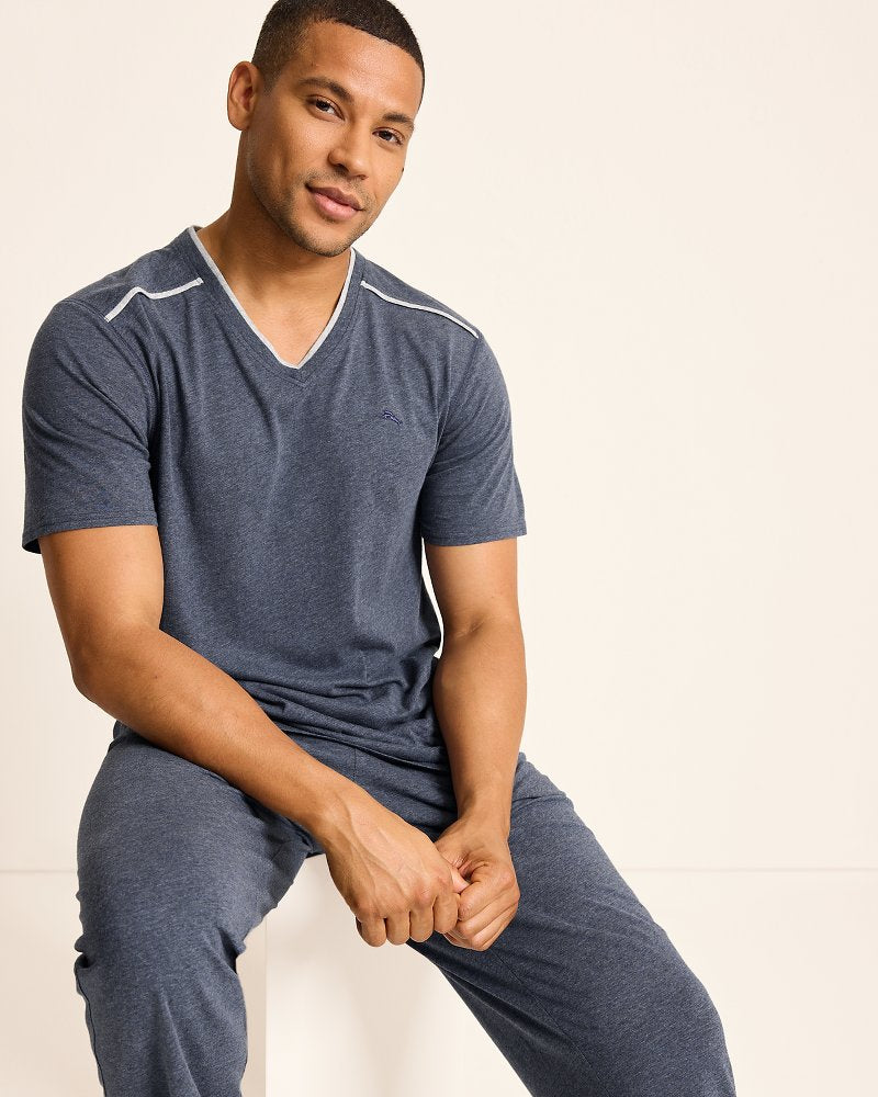 Big & Tall Jersey Short-Sleeve V-Neck T-Shirt