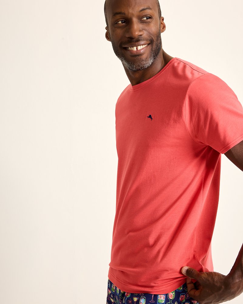 Big & Tall Short-Sleeve Crewneck T-Shirt