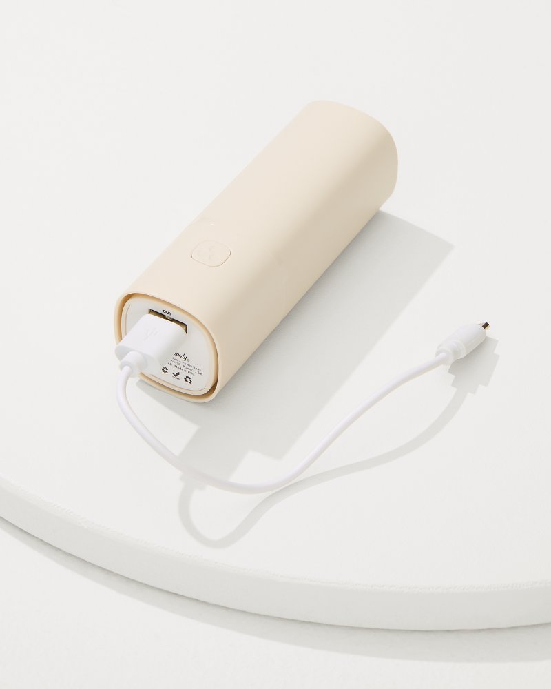 Portable Fan & Power Bank